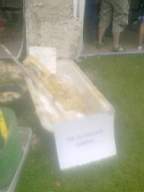igs 2011 farmleigh 1530.jpg
